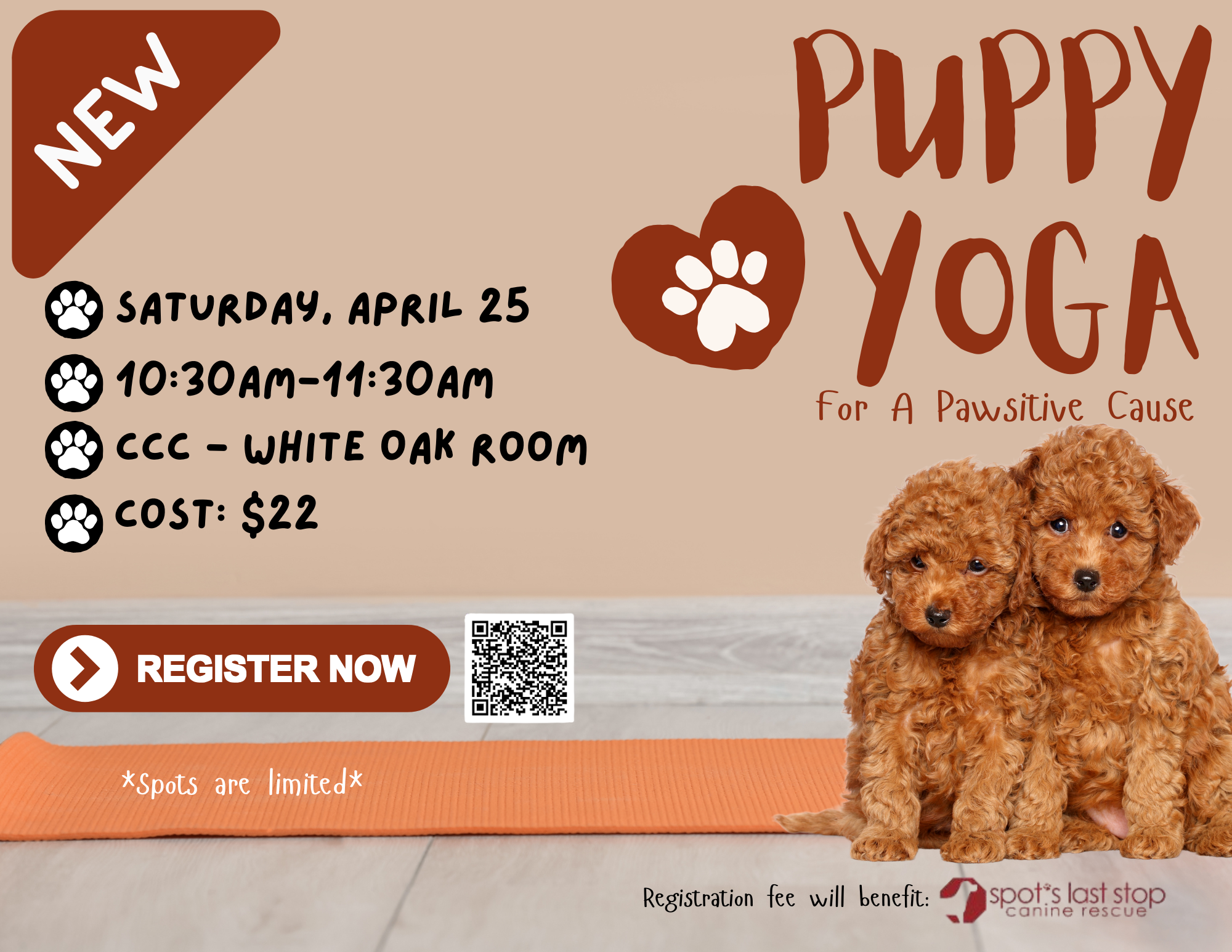 Puppy Yoga (11 x 8.5 in) Flyer